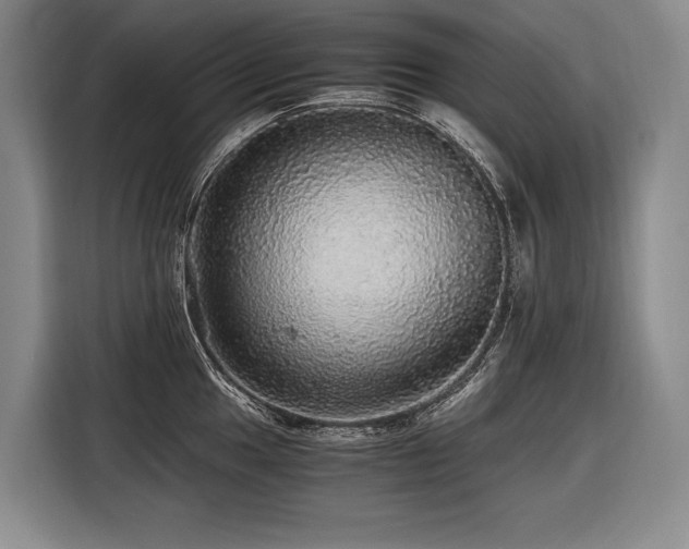 X0000116441049200912081552