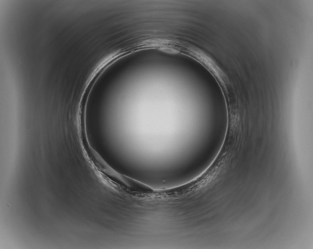 X0000116441050200912081552