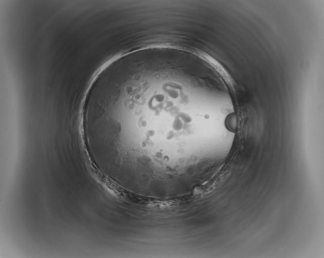 X0000116441051200912081552