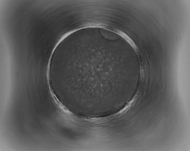X0000116441052200912081552