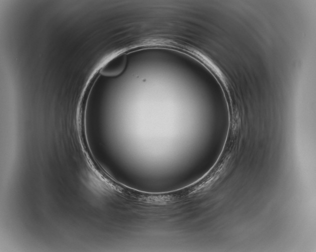X0000116441053200912081552
