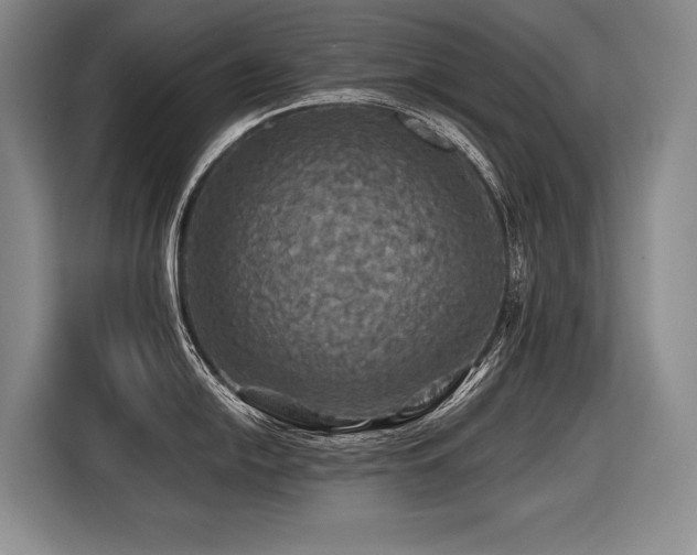 X0000116441054200912081552