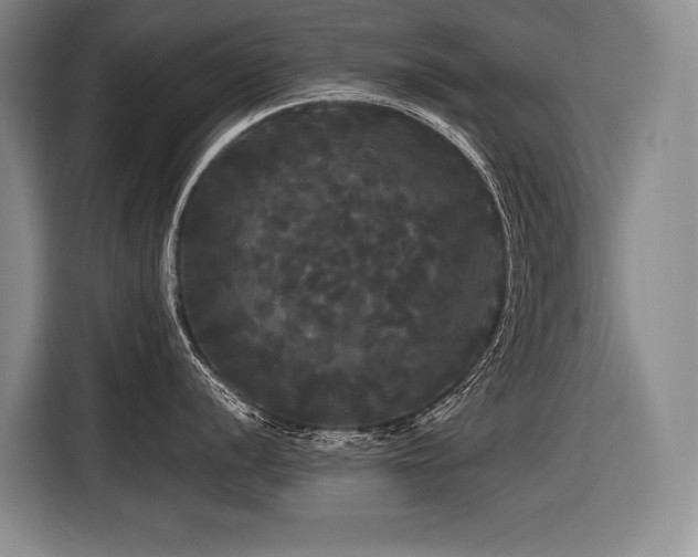 X0000116441056200912081552