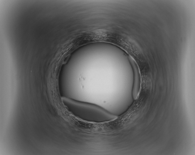 X0000116441057200912081552