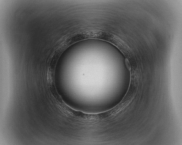 X0000116441058200912081552