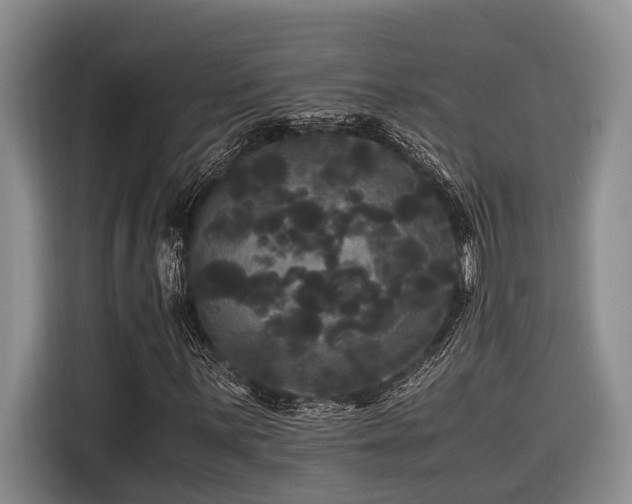 X0000116441059200912081552