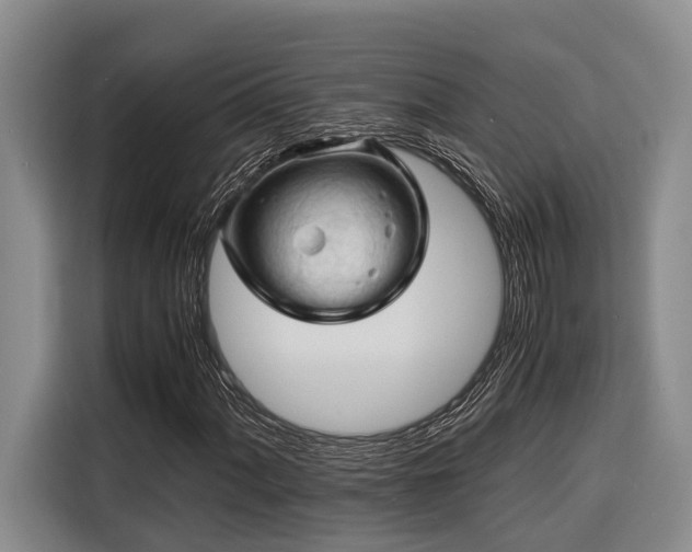 X0000116441060200912081552