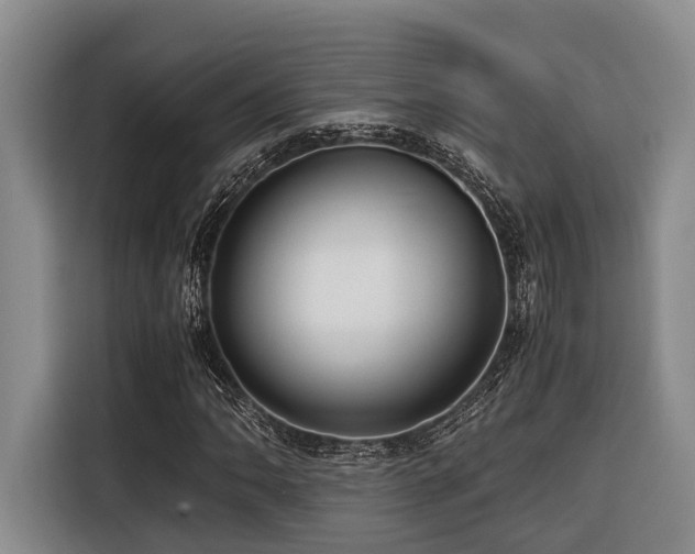 X0000116441062200912081552