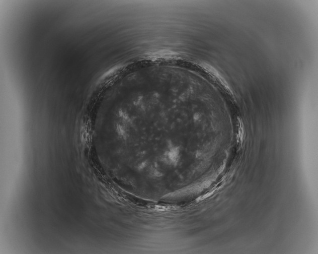 X0000116441063200912081552