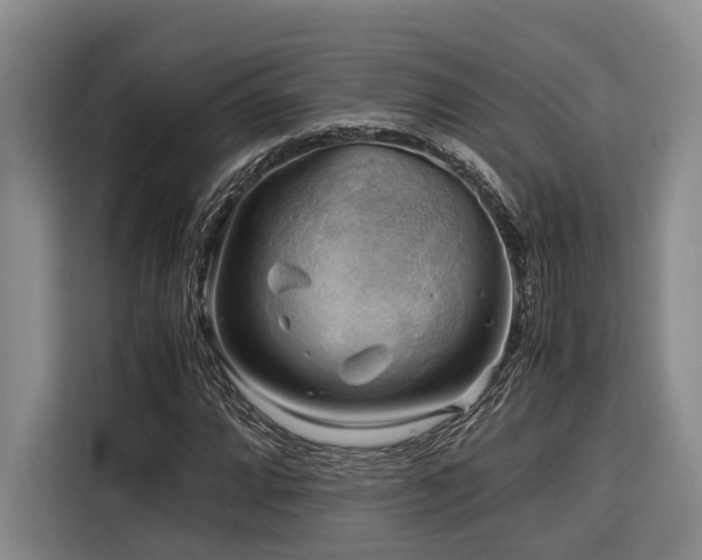 X0000116441064200912081552