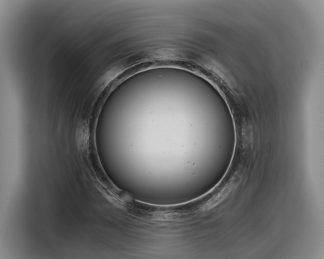X0000116441065200912081552