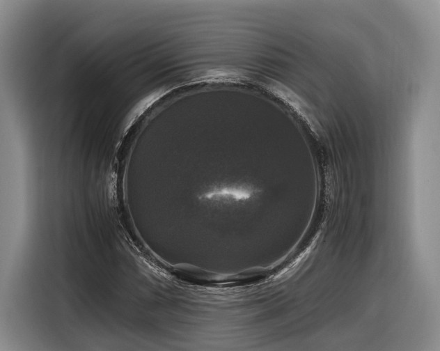 X0000116441066200912081552