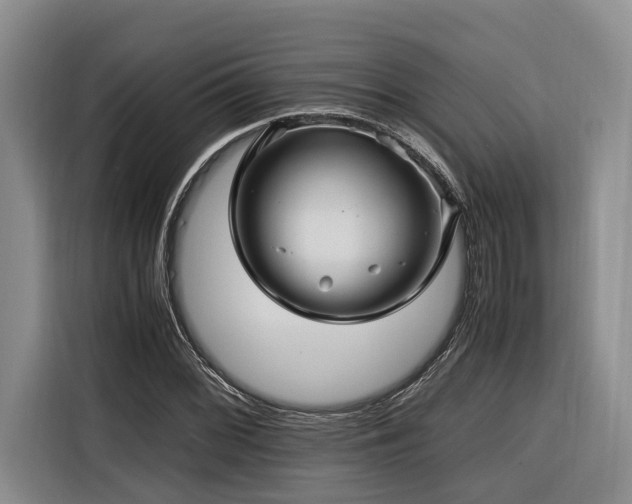 X0000116441068200912081552