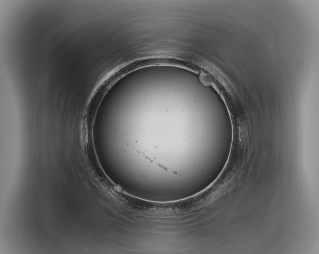 X0000116441069200912081552