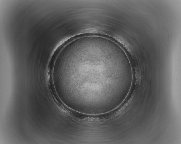 X0000116441070200912081552