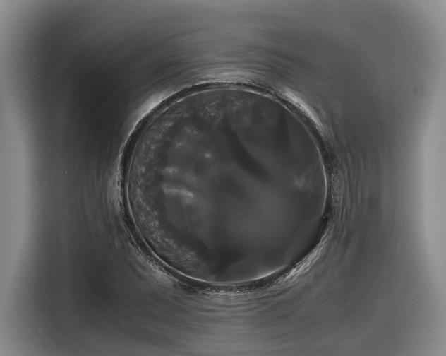 X0000116441071200912081552