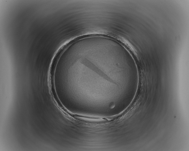 X0000116441072200912081552