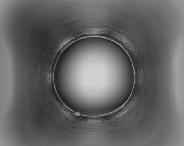 X0000116441073200912081552