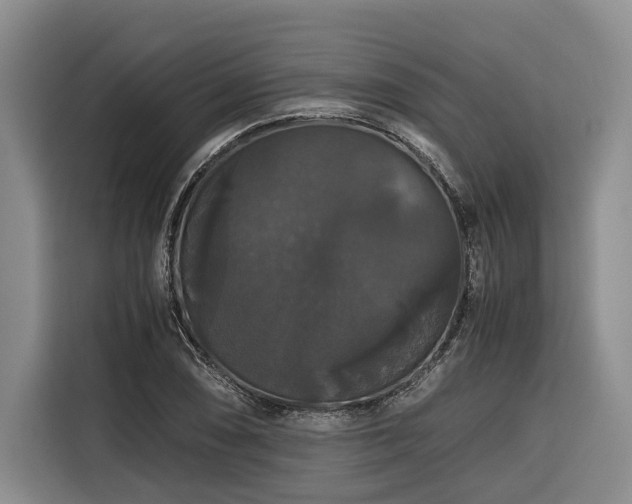 X0000116441074200912081552