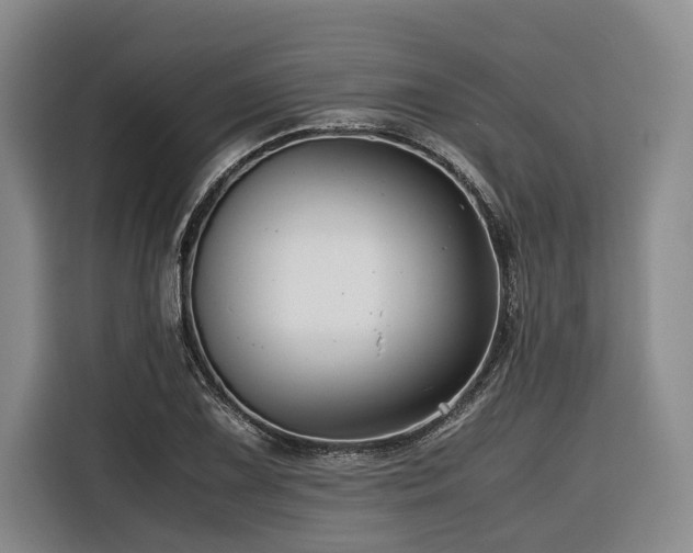 X0000116441075200912081552