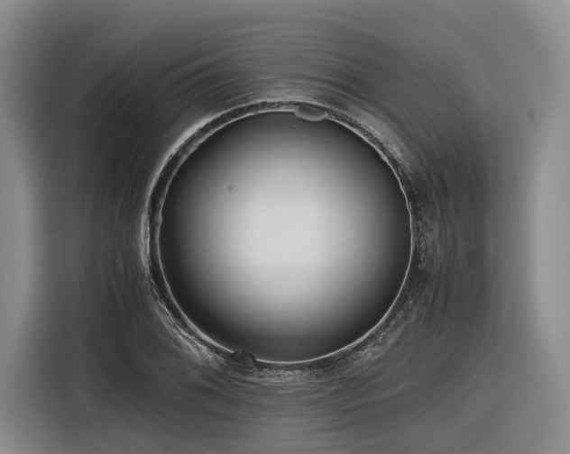 X0000116441076200912081552