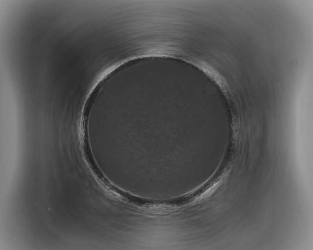 X0000116441077200912081552