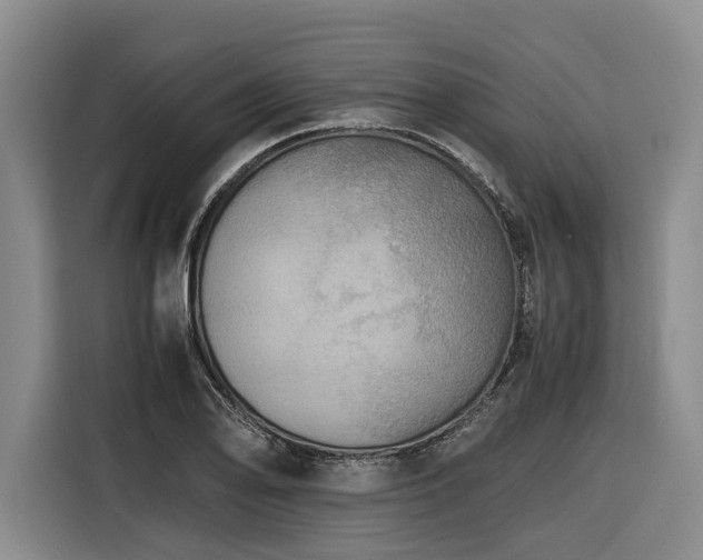 X0000116441078200912081552