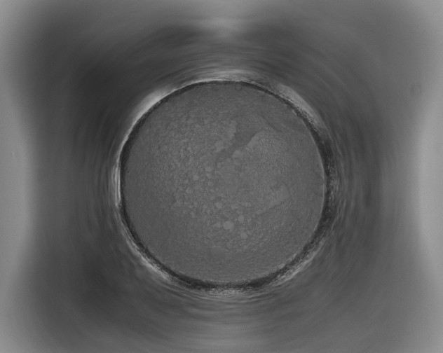 X0000116441079200912081552