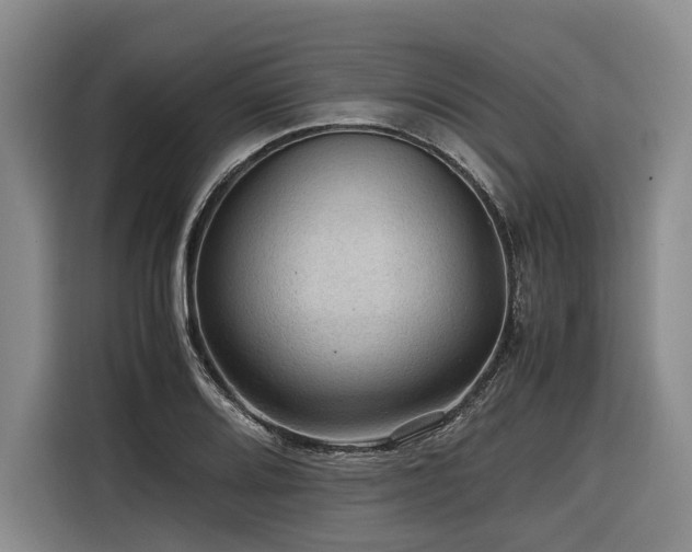 X0000116441080200912081551