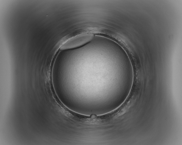 X0000116441081200912081551