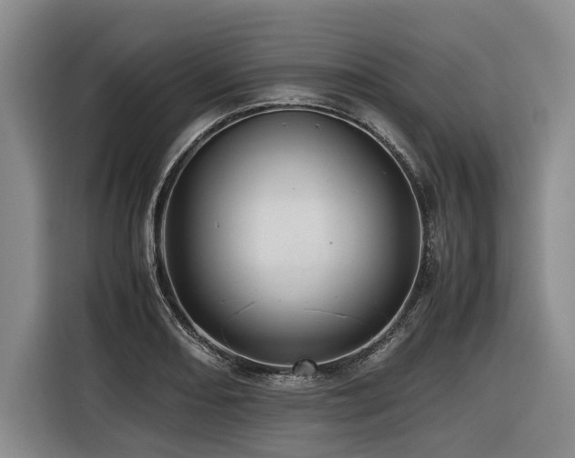 X0000116441082200912081551