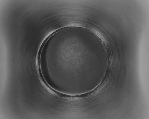 X0000116441084200912081551
