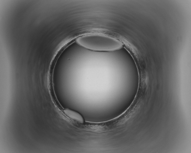 X0000116441085200912081551
