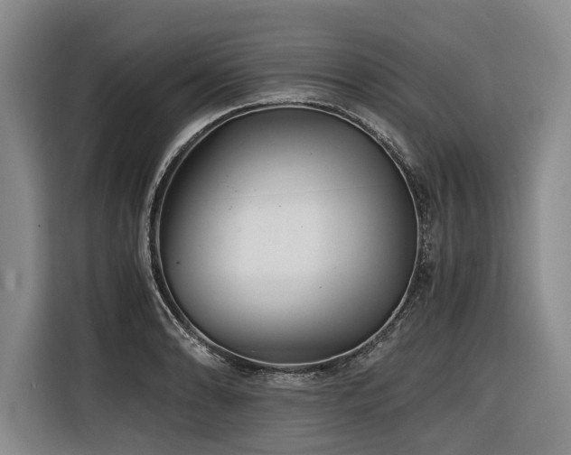 X0000116441086200912081551