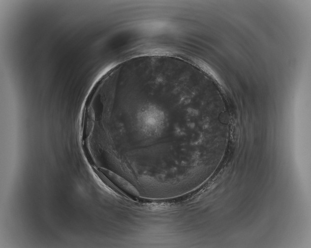 X0000116441087200912081551