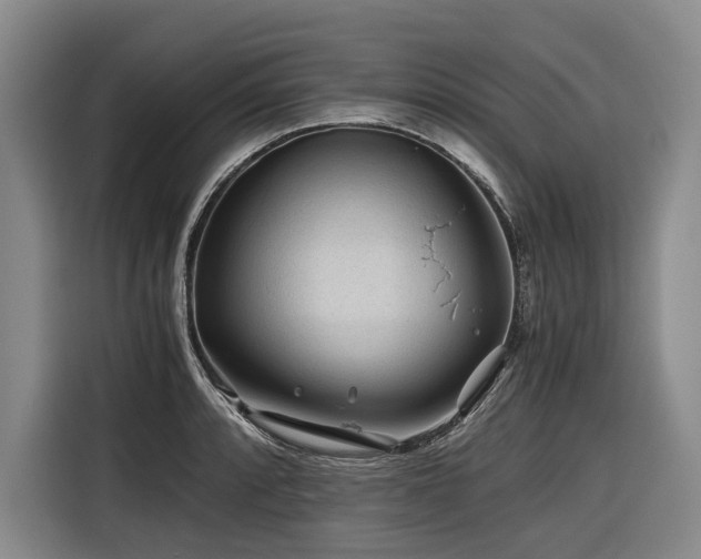 X0000116441088200912081551