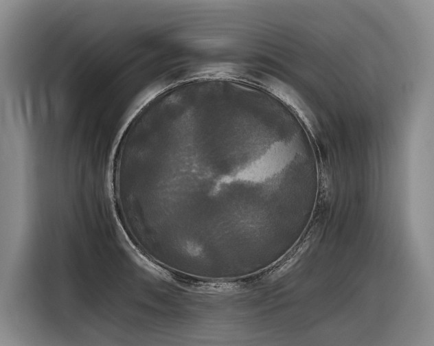 X0000116441090200912081551