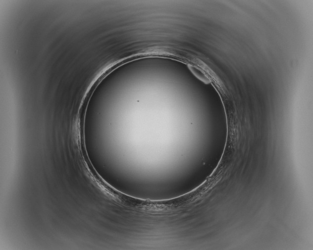 X0000116441092200912081551