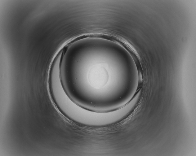 X0000116441093200912081551