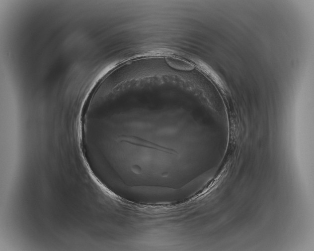 X0000116441095200912081551