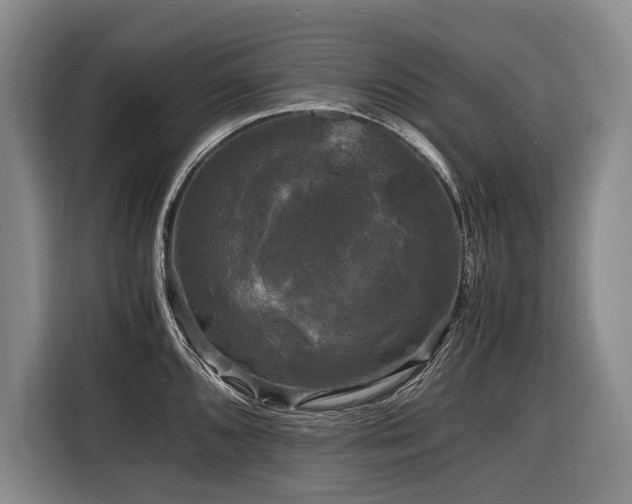 X0000116441096200912081551