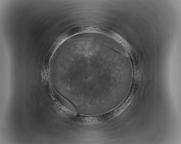 X0000116441097200912081551