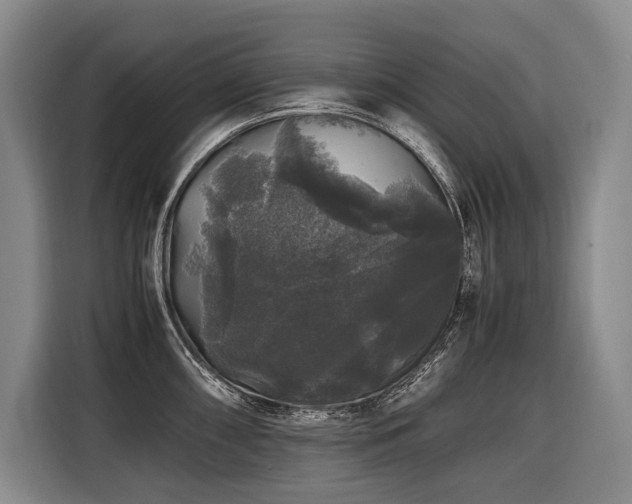 X0000116441098200912081551