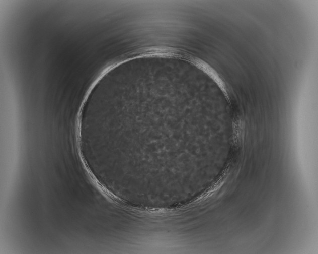X0000116441099200912081551