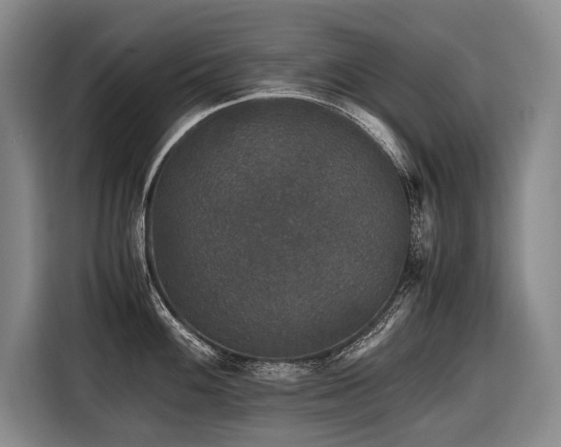 X0000116441100200912081551