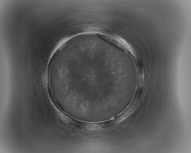 X0000116441101200912081551