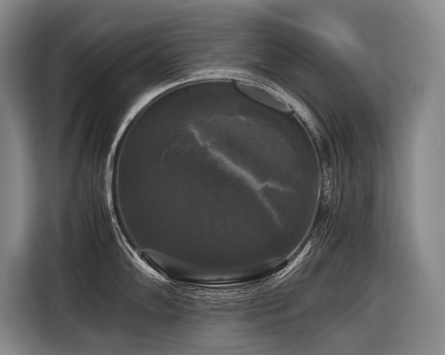 X0000116441102200912081551