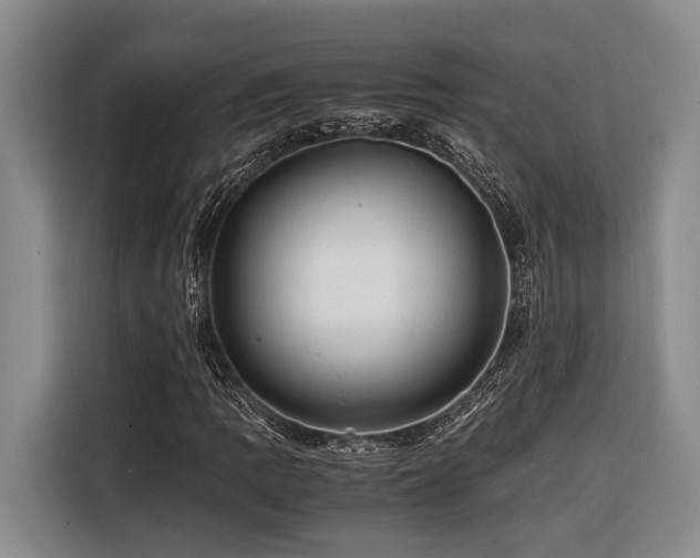 X0000116441109200912081551