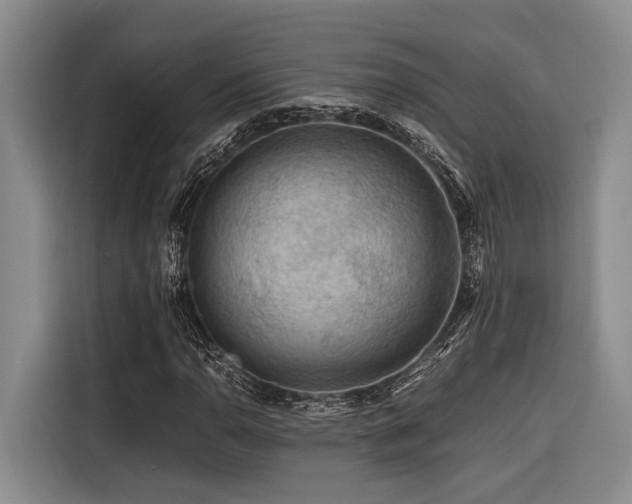 X0000116441110200912081551