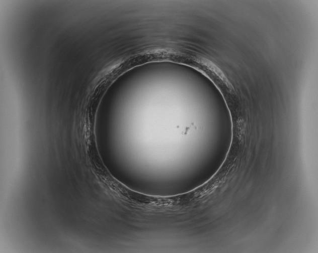 X0000116441111200912081551
